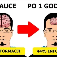 Skuteczne zapamiętywanie informacji: Pożegnaj kucie na blachę!