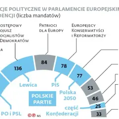 Konfederacja w jakiej frakcji w parlamencie europejskim? Kluczowe informacje