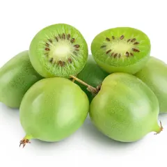 Mini kiwi prosto z działki. Zielone, okrągłe owoce, jeden przekrojony ukazuje drobne pestki.