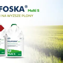 Polifoska 5 skład: dwa worki nawozu Polifoska Multi S na tle zielonego pola. Idealny plan na wyższe plony.