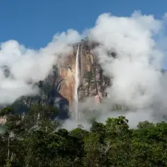 Der Salto Ángel, ein majestätischer Wasserfall, stürzt von einem Tafelberg, umgeben von Wolken und üppigem Dschungel.