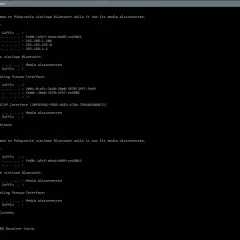 Wyniki polecenia ipconfig w wierszu poleceń Windows, pokazujące informacje o konfiguracji sieci.