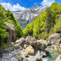 Río Cinca serpentea entre rocas y bosques frondosos, con picos nevados al fondo. Un paisaje idílico que evoca la majestuosidad de la cascada del Cinca.