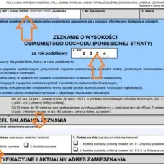 Podatek od kryptowalut 2025: jak rozliczyć zyski na PIT-38?