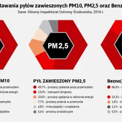 Z czego składa się smog? Poznaj toksyczny koktajl w Twoim powietrzu