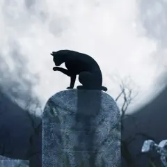 Qué significa soñar con gatos negros y sus sorprendentes interpretaciones