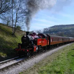 Un tren de vapor rojo y negro, con humo saliendo de su chimenea, recorre vías rodeadas de verde. Es como soñar con trenes antiguos en un paisaje idílico.