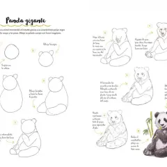 Panda gigante: guía paso a paso para dibujar animales. Aprende a trazar la cabeza, el cuerpo y los detalles del pelaje de este tierno oso.
