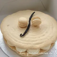 Un délicieux gâteau macaron à la vanille, orné de deux petits macarons et d'une gousse de vanille.