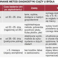 Jak obliczyć wiek ciąży? Poznaj metody i wybierz najdokładniejszą!