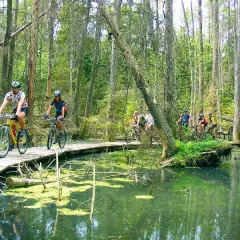 Biebrzański Park Narodowy: najlepsze trasy rowerowe i ich atrakcje