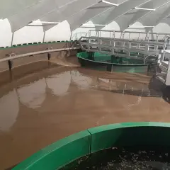 Dużo piany w oczyszczalni - skuteczne rozwiązania i najczęstsze przyczyny