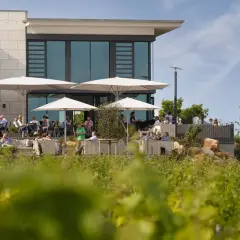 Winzergenossenschaft Herxheim: Weine, Vinothek & Events entdecken