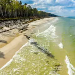 Piękna lubiatowo plaża z lasem sosnowym w tle i zielonym morzem.