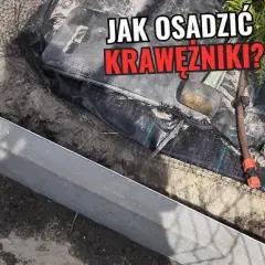 Krawężnik na podjazd: Jak wybrać idealny? Poradnik Piotra Kowalskiego