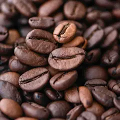 Chicchi di caffè qualità arabica tostati, un primo piano che evoca profumo e gusto intenso.