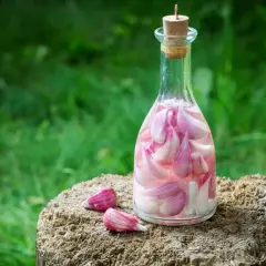 Szklana butelka z korkiem, wypełniona płatkami czosnku w różowej zalewie. Obok leżą dwa ząbki czosnku. Nalewka z czosnku gotowa do użycia.