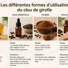 Infusion, huile, poudre, application topique : découvrez les bienfaits du clou de girofle et comment l'utiliser.