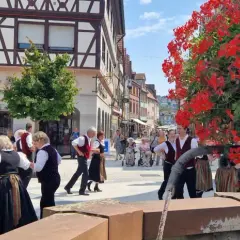 Tanzgruppe in Tracht belebt den Marktplatz. Ein Fest für die Sinne bei den Veranstaltungen heute Tauberbischofsheim.