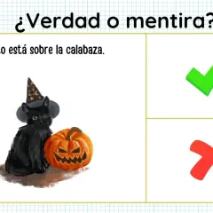 Gato negro con sombrero de bruja y calabaza de halloween. ¿Verdad o mentira? El gato está sobre la calabaza.