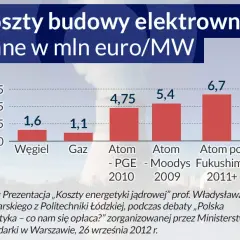 Czeski atom: Filar bezpieczeństwa i wzór dla Polski?