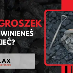 Ręce w rękawicach trzymają ekogroszek, który jest paliwem stałym. Dowiedz się z czego jest ekogroszek.