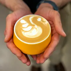 Dłonie trzymają żółtą filiżankę z kawą, na której artystycznie uformowano łabędzia. Zastanawiasz się, ile kofeiny ma espresso z ekspresu?