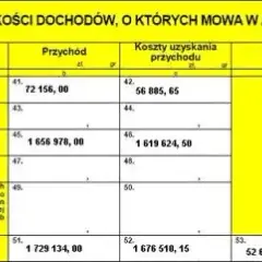 Jak rozliczyć kryptowaluty w Polsce? PIT-38, stawki, koszty