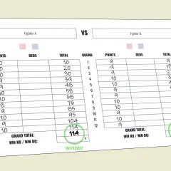 Boxing scorecard showing Fighter A won with 114 points. This score reflects how many points is a knockdown in boxing, with 10 points awarded per round.