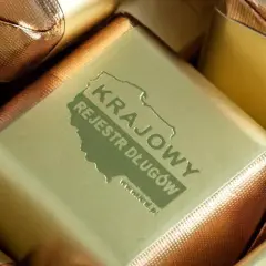 Jak wpisać dłużnika do KRD i uniknąć problemów z windykacją