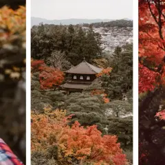 Jesień w Japonii: czerwone liście klonu, tradycyjna świątynia i malowniczy strumień. Odkryj najlepsze miejsca na jesienne liście w Japonii.