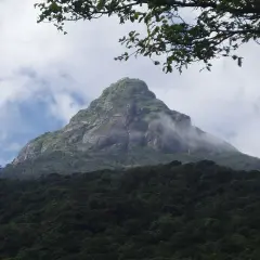 Adams Peak reser sig majestätiskt, klädd i grönska och omfamnad av moln.
