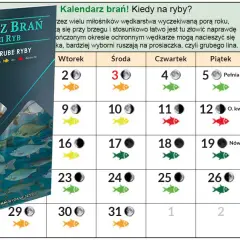 Sekrety kalendarza brań: Kiedy ryby żerują najlepiej?