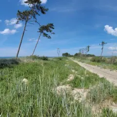 Najciekawsze atrakcje w Sławnie, które musisz zobaczyć