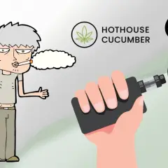 En person röker cigarett, en annan håller en vape. Bilden visar hur fungerar vape, med texten "Hothouse Cucumber".
