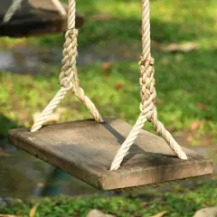 A simple wooden plank swing, suspended by thick ropes, hints at how to build a tree swing. The grass and water below suggest a peaceful backyard setting.