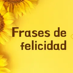 Girasoles amarillos rodean el texto "Frases de felicidad". Me siento feliz con estas frases cortas.