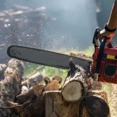 Najlepsze piły spalinowe do 500 zł - wybierz idealną dla siebie