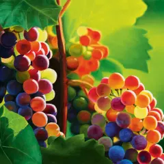 Grappoli d'uva dipinti con colori vivaci, che ricordano quali sono i colori primari: rosso, giallo e blu, mescolati con sfumature di verde e viola.