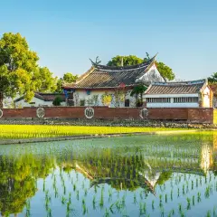 Un campo de arroz verde brillante refleja un edificio tradicional. Aquí es de donde viene el arroz, cultivado en agua.