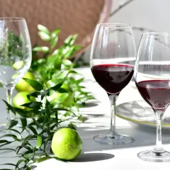 Dwa kieliszki do porto z czerwonym winem, zielone limonki i gałązki na białym stole.