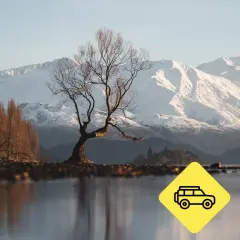 Samotne drzewo nad jeziorem, ośnieżone góry w tle, żółty znak kampera.