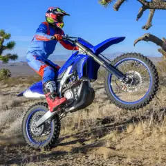 Motocyklista w stroju Alpinestars A-10 wykonuje wheelie na pustynnym terenie, w tle drzewa Jozuego.