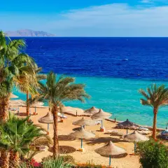 Solig strand med palmer och parasoller i Hurghada, Egypten. Blått hav och berg i horisonten.