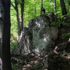 Wąwóz w lesie bukowym, zdominowany przez wapienne skały. W oddali widać turystę na szczycie skalnej ściany w dolinie Szklarki.