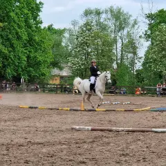 Jak wygląda odznaka jeżdżę konno i dlaczego jest tak ważna?