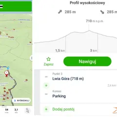 Trasa w górach rudawskich: mapa, profil wysokościowy i nawigacja. Cel: Lwia Góra (718 m).