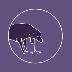 Ilustración de un perro con un líquido saliendo de su boca, representando el reflujo en perros.