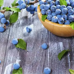 Frische Schlehen in einer Holzschale und auf einem rustikalen Holztisch, bereit für leckere Schlehen Rezepte.