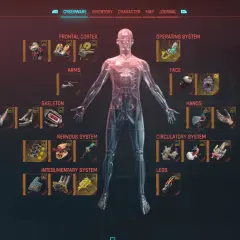 Cyberpunk maksymalny poziom. Interfejs pokazuje cyberwszczepy postaci: mózg, układ krążenia, szkielet, ręce, nogi i inne.